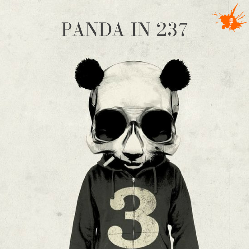 Panda in 237